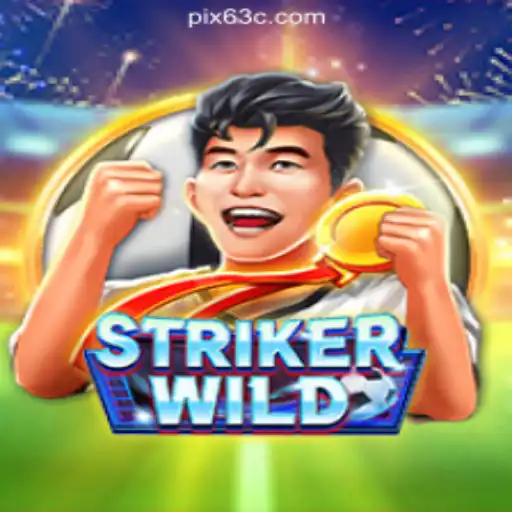 StrikerWILD: A Dynamic Gaming Experience on 63C.COM Platform-Oficial Slots Brasil